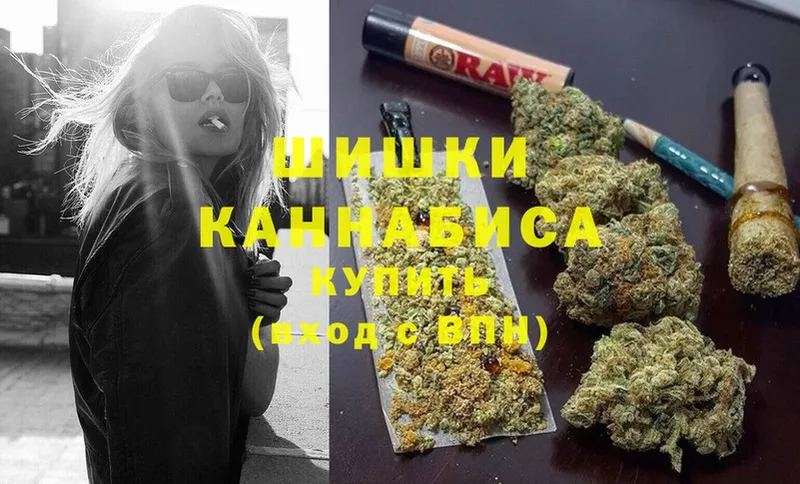 Каннабис OG Kush  Обнинск 